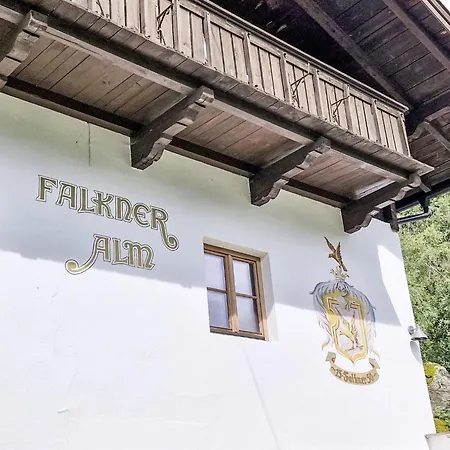 Typ C By Interhome Appartamento Längenfeld